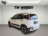 Usata Fiat Panda Cross Cross 69 CV (50 kW) 2024 Bianco Utilitaria