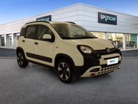 usata Fiat Panda Cross 1.0 FireFly 70cv S&S Hybrid