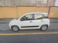 Usata Fiat Panda Lounge 69 CV (50 kW) 2019 Utilitaria
