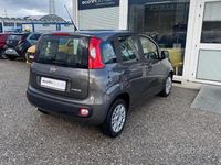 Usata Fiat Panda S 69 CV (50 kW) 2021 Grigio Berlina