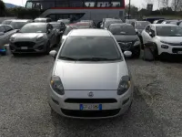 Usata Fiat Punto Lounge 75 CV (55 kW) 2013 Argento Utilitaria