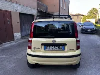 Usata Fiat Panda Dynamic 60 CV (44 kW) 2009 Utilitaria