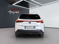 Usata Lexus UX 250h Luxury Line 184 CV (135 kW) 2019 Other SUV