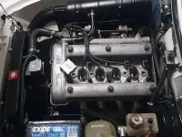 Usata Alfa Romeo Spider Veloce 128 CV (94 kW) 1980 Cabrio