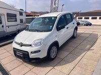 Usata Fiat Panda City Life 69 CV (50 kW) 2023 Bianco Utilitaria