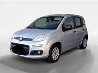 usata Fiat Panda 1.2 Easy 69cv