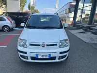 Usata Fiat Panda Dynamic 60 CV (44 kW) 2010 Bianco Utilitaria