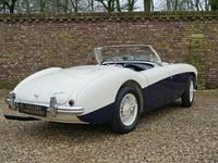 Usata Austin Healey 100 90 CV (66 kW) 1955 Bianco Cabrio
