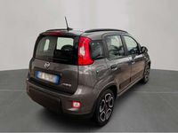 Usata Fiat Panda 69 CV (50 kW) 2022 Other Utilitaria