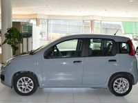 usata Fiat Panda 1.0 - 1.0 70cv hybrid