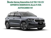 Nuova Skoda Karoq Executive 116 CV (85 kW) 2025 Grigio SUV