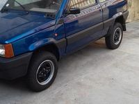Usata Fiat Panda 4x4 Trekking 54 CV (39 kW) 2001 Utilitaria