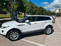 Usata Land Rover Range Rover evoque 150 CV (110 kW) 2014 Bianco SUV