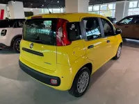 Nuova Fiat Panda Pop 65 CV (47 kW) 2026 Giallo Utilitaria