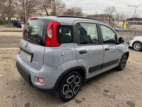 Usata Fiat Panda City Life 69 CV (50 kW) 2022 Grigio pastello Berlina