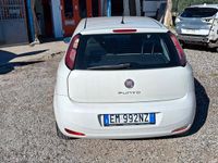 Usata Fiat Punto Evo 75 CV (55 kW) 2012 Bianco Utilitaria