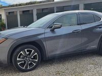 usata Lexus UX - 2019