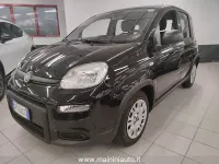 Usata Fiat Panda Easy 69 CV (50 kW) 2023 Nero Utilitaria