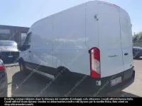 Usata Ford Transit Trend 131 CV (96 kW) 2024 Bianco Furgone