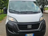 Usata Fiat Ducato 140 CV (102 kW) 2023 Bianco Furgone