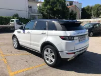 Usata Land Rover Range Rover evoque Dynamic 190 CV (139 kW) 2014 Bianco SUV