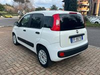 usata Fiat Panda 1.3 multijet 80cv euro6 - PERMUTE