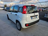 Usata Fiat Panda Easy 95 CV (69 kW) 2017 Bianco Utilitaria