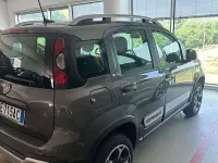 Usata Fiat Panda Cross Cross 86 CV (63 kW) 2021 Grigio Utilitaria