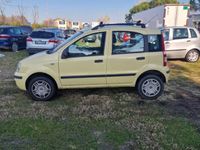 Usata Fiat Panda Dynamic 60 CV (44 kW) 2008 Giallo Utilitaria
