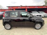 Usata Fiat Panda Pop 69 CV (50 kW) 2016 Nero Utilitaria