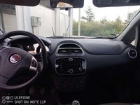 Usata Fiat Punto Pop 69 CV (50 kW) 2013 Utilitaria