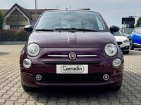Usata Fiat 500 Star 69 CV (50 kW) 2020 Viola metallizzato Utilitaria
