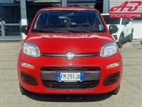 Usata Fiat Panda Easy 84 CV (61 kW) 2018 Rosso Utilitaria