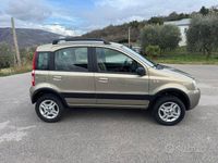 Usata Fiat Panda 4x4 Climbing 69 CV (50 kW) 2007 Beige Utilitaria