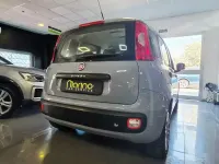 Usata Fiat Panda Easy 69 CV (50 kW) 2017 Bianco Utilitaria