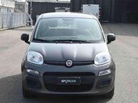Usata Fiat Panda Easy 69 CV (50 kW) 2022 Grigio Utilitaria