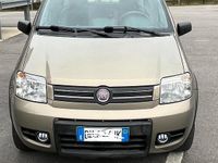 Usata Fiat Panda 4x4 Climbing 60 CV (44 kW) 2008 Oro Utilitaria