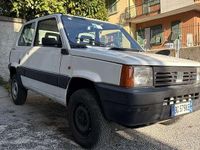 Usata Fiat Panda 4x4 Trekking 54 CV (39 kW) 1999 Utilitaria