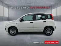 Nuova Fiat Panda Pop 65 CV (47 kW) 2025 Bianco Utilitaria