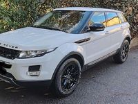 Usata Land Rover Range Rover evoque 150 CV (110 kW) 2012 Bianco SUV