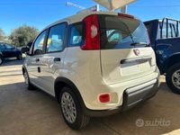 usata Fiat Panda Panda 1.0 FireFly S&S Hybrid