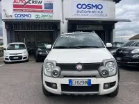 Usata Fiat Panda 4x4 Cross 75 CV (55 kW) 2011 Bianco Utilitaria