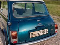 usata Rover Mini mayfair