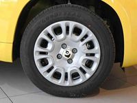 Nuova Fiat Panda Pop 2025 Giallo Utilitaria