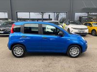 Nuova Fiat Panda Icon 65 CV (47 kW) 2026 Giallo positano / tetto nero Utilitaria