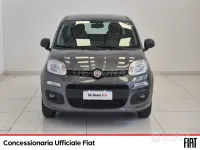 Usata Fiat Panda Easy 69 CV (50 kW) 2019 Grigio Utilitaria