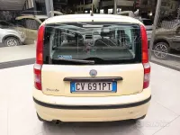 Usata Fiat Panda Dynamic 60 CV (44 kW) 2005 Giallo Utilitaria