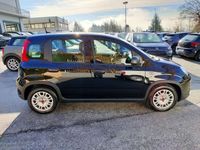 usata Fiat Panda 1.0 FireFly S&S Hybrid