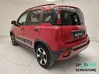 Usata Fiat Panda Cross Cross 70 CV (51 kW) 2024 Rosso Utilitaria
