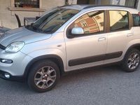 Usata Fiat Panda 4x4 S 95 CV (69 kW) 2016 Argento Utilitaria